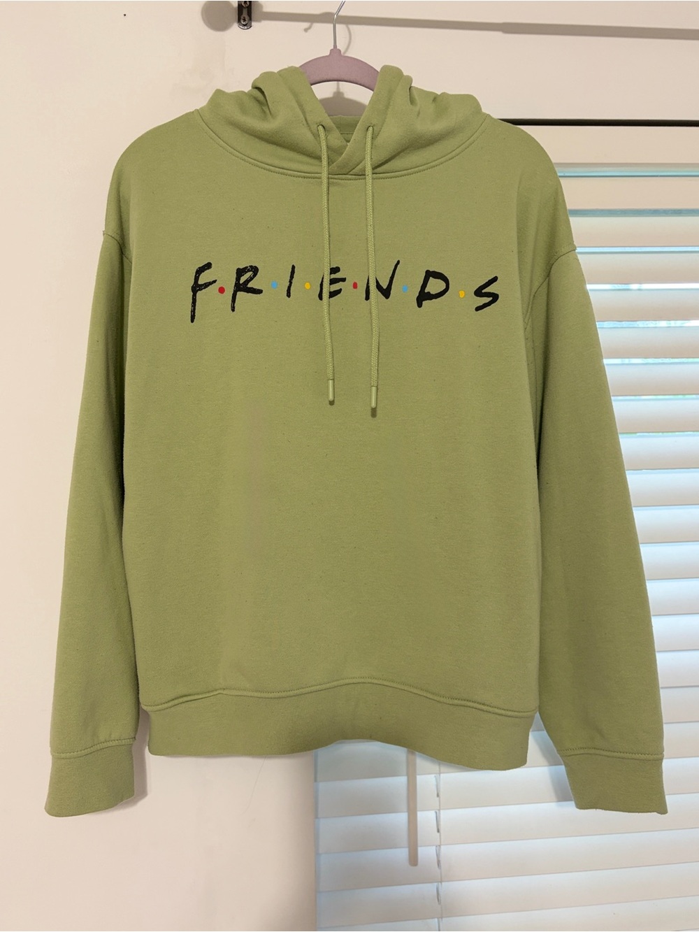 FRIENDS Logo Pullover Hoodie in Sage Green